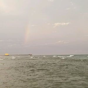 Meet your Posher, Molly